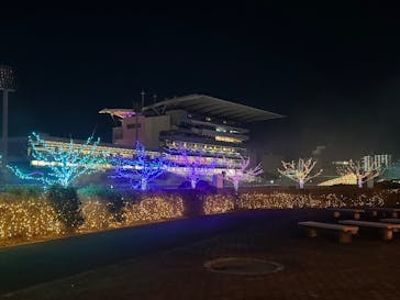 東京メガイルミに投稿された画像（2024/12/16）