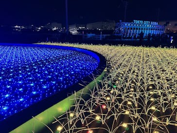 東京メガイルミに投稿された画像（2024/12/16）