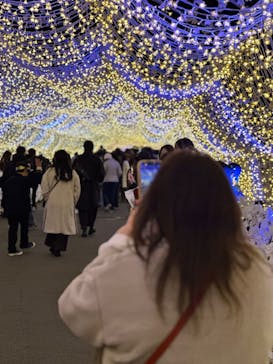 東京メガイルミに投稿された画像（2024/12/16）