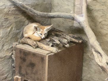 長崎バイオパークに投稿された画像（2024/12/16）