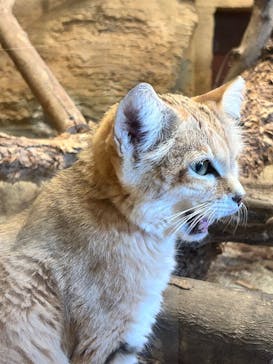 長崎バイオパークに投稿された画像（2024/12/16）