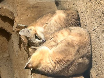 長崎バイオパークに投稿された画像（2024/12/16）