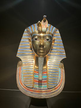 MYSTERY OF TUTANKHAMEN 体感型古代エジプト展に投稿された画像（2024/12/16）