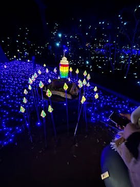 江の島1dayに投稿された画像（2024/12/16）