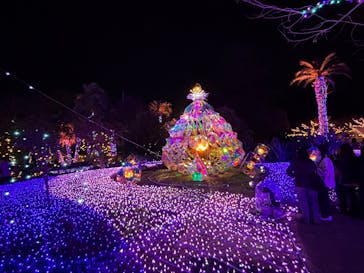 江の島1dayに投稿された画像（2024/12/16）