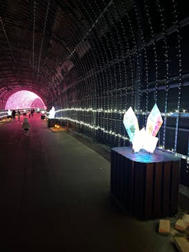 NESTA RESORT KOBE（ネスタリゾート神戸）に投稿された画像（2024/12/16）