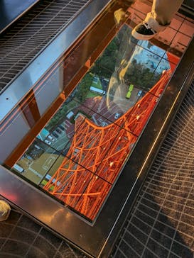 東京タワーに投稿された画像（2024/12/16）