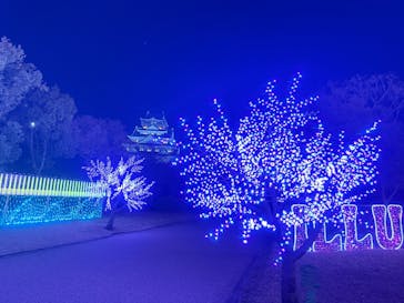 大阪城イルミナージュに投稿された画像（2024/12/16）