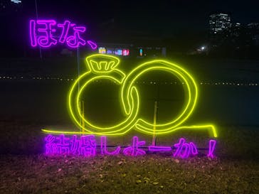 大阪城イルミナージュに投稿された画像（2024/12/16）