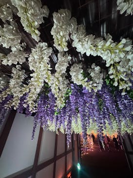 東京メガイルミに投稿された画像（2024/12/16）