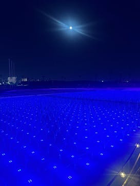 東京メガイルミに投稿された画像（2024/12/16）