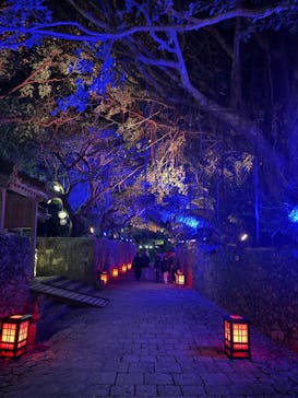 体験王国 むら咲むらに投稿された画像（2024/12/16）