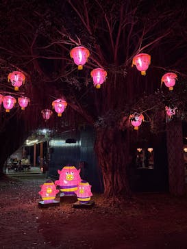 体験王国 むら咲むらに投稿された画像（2024/12/16）