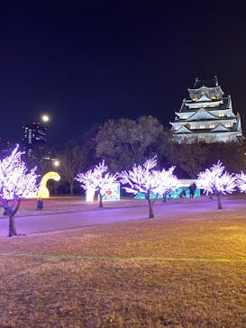 大阪城イルミナージュに投稿された画像（2024/12/16）