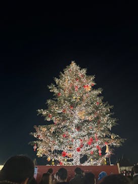 Christmas Market in 横浜赤レンガ倉庫 2025に投稿された画像（2024/12/16）