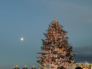Christmas Market in 横浜赤レンガ倉庫 2025に投稿された画像（2024/12/16）