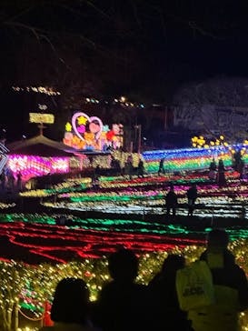 みろくの里に投稿された画像（2024/12/16）