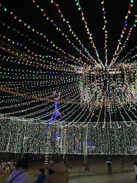 みろくの里に投稿された画像（2024/12/16）