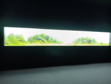 AOAO SAPPOROに投稿された画像（2024/12/16）