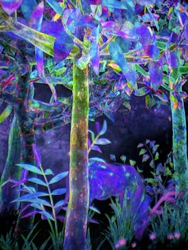 チームラボフォレスト 福岡 - SBI証券に投稿された画像（2024/12/16）