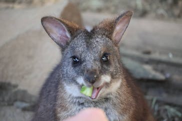 伊豆シャボテン動物公園に投稿された画像（2024/12/17）