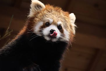 伊豆シャボテン動物公園に投稿された画像（2024/12/17）