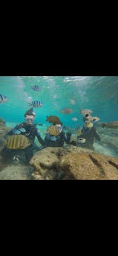 武藤潜水に投稿された画像（2024/12/17）