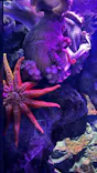 仙台うみの杜水族館に投稿された画像（2024/12/17）