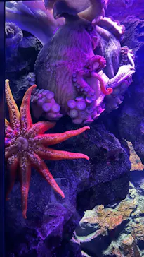 仙台うみの杜水族館に投稿された画像（2024/12/17）
