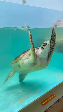 仙台うみの杜水族館に投稿された画像（2024/12/17）