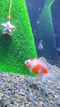 仙台うみの杜水族館に投稿された画像（2024/12/17）