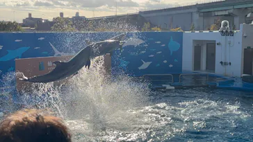 仙台うみの杜水族館に投稿された画像（2024/12/17）