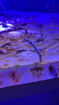 仙台うみの杜水族館に投稿された画像（2024/12/17）