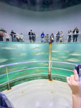 城崎マリンワールドに投稿された画像（2024/12/17）