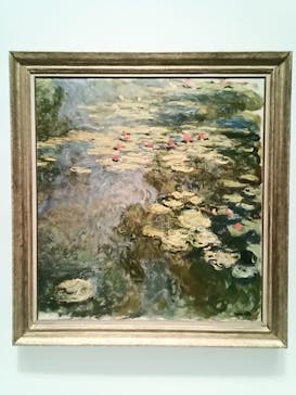 モネ 睡蓮のとき（国立西洋美術館）に投稿された画像（2024/12/17）