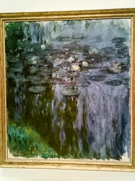 モネ 睡蓮のとき（国立西洋美術館）に投稿された画像（2024/12/17）