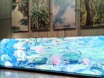 モネ 睡蓮のとき（国立西洋美術館）に投稿された画像（2024/12/17）