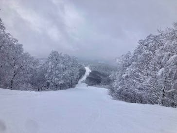 阿仁スキー場に投稿された画像（2024/12/17）