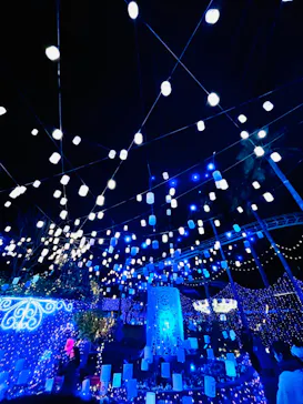 ひらかたパークに投稿された画像（2024/12/17）