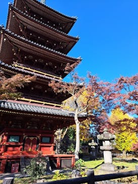 恩賜上野動物園に投稿された画像（2024/12/17）