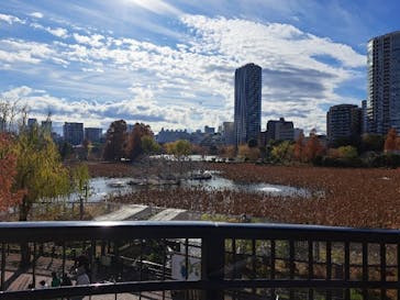 恩賜上野動物園に投稿された画像（2024/12/17）