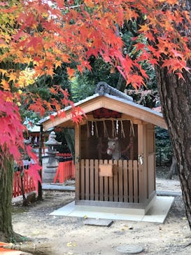 京阪電車に投稿された画像（2024/12/17）