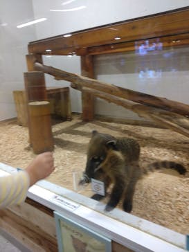 アニタッチ 東京ドームシティに投稿された画像（2024/12/17）