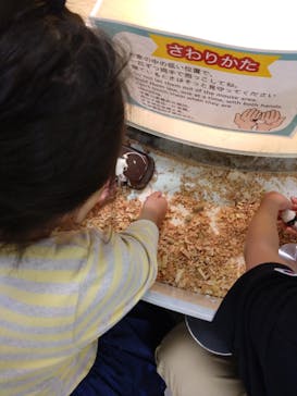 アニタッチ 東京ドームシティに投稿された画像（2024/12/17）