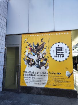 特別展「鳥 ～ゲノム解析が解き明かす新しい鳥類の系統～」国立科学博物館に投稿された画像（2024/12/17）