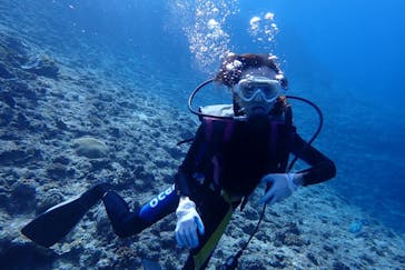 Miyako Blue Tripに投稿された画像（2024/12/17）