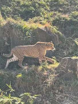 多摩動物公園に投稿された画像（2024/12/17）