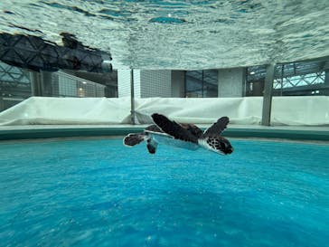名古屋港水族館に投稿された画像（2024/12/17）
