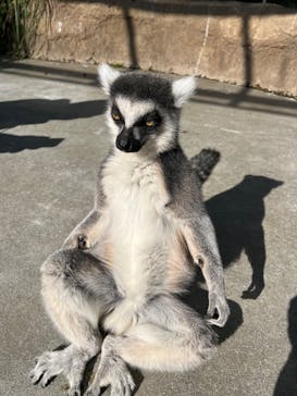 神戸どうぶつ王国に投稿された画像（2024/12/17）