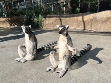 神戸どうぶつ王国に投稿された画像（2024/12/17）